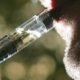 Study finds vaping "far safer" than smoking
